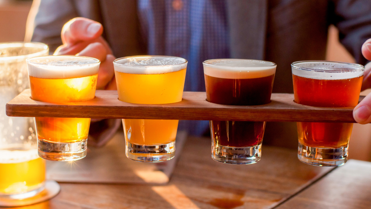 Several of glasses of different beer in a flight for a friendly gathering