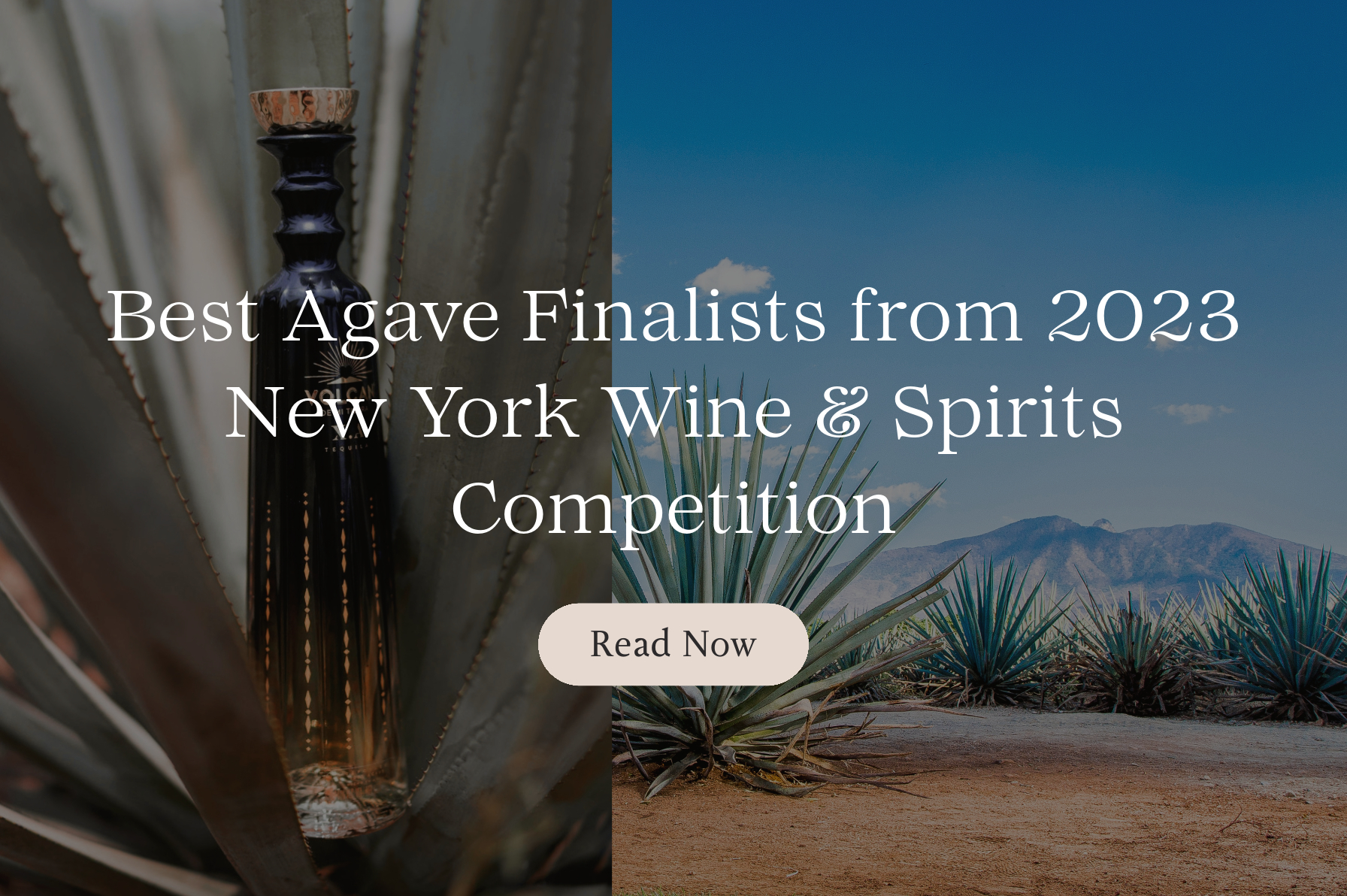 The Tasting Alliance's Best Agave from 2023 New York World Wine & Spirits Competition