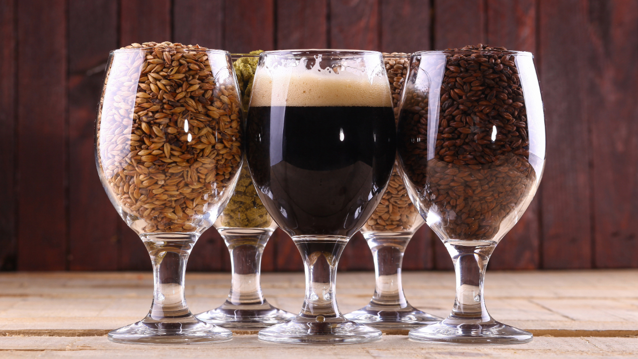 Glasses filled with beer, hops, barley, and homebrewing ingredients
