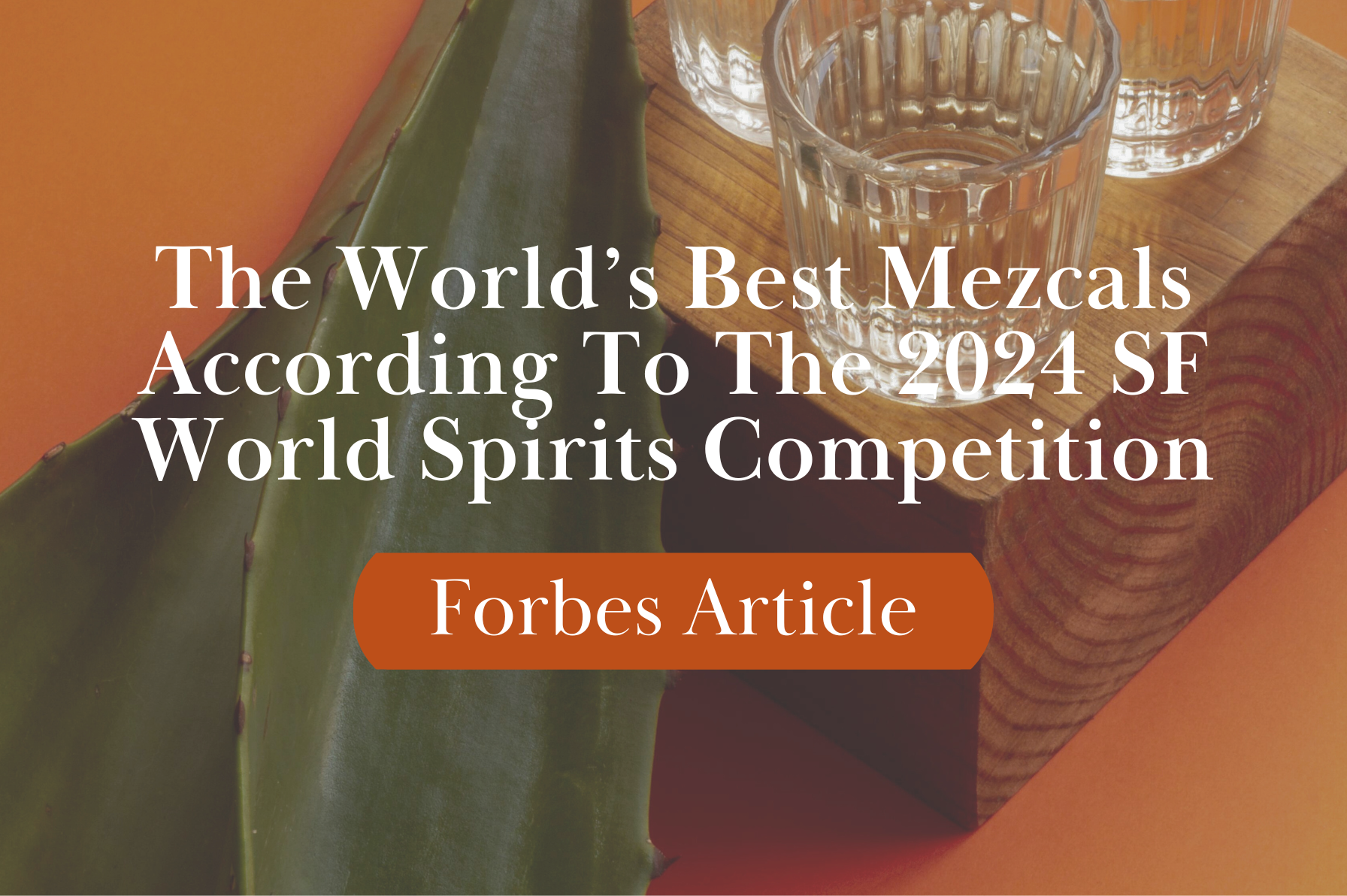 The World’s Best Mezcals, According To The 2024 San Francisco World Spirits Competition