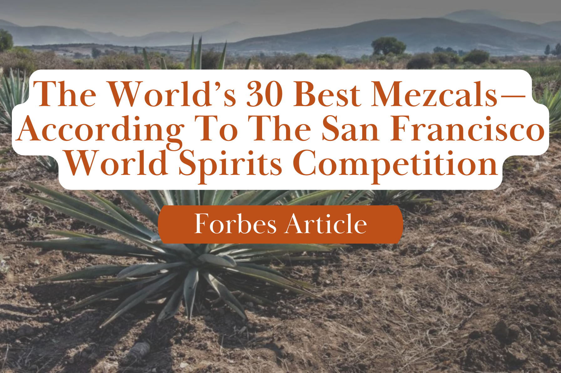 30 Best Mezcals from the 2024 San Francisco World Spirits Competition