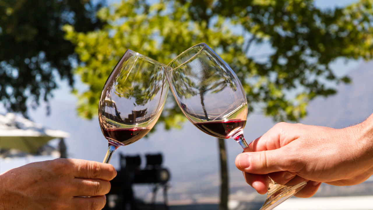 A close up of two hands with red wine glasses in front of a vineyard