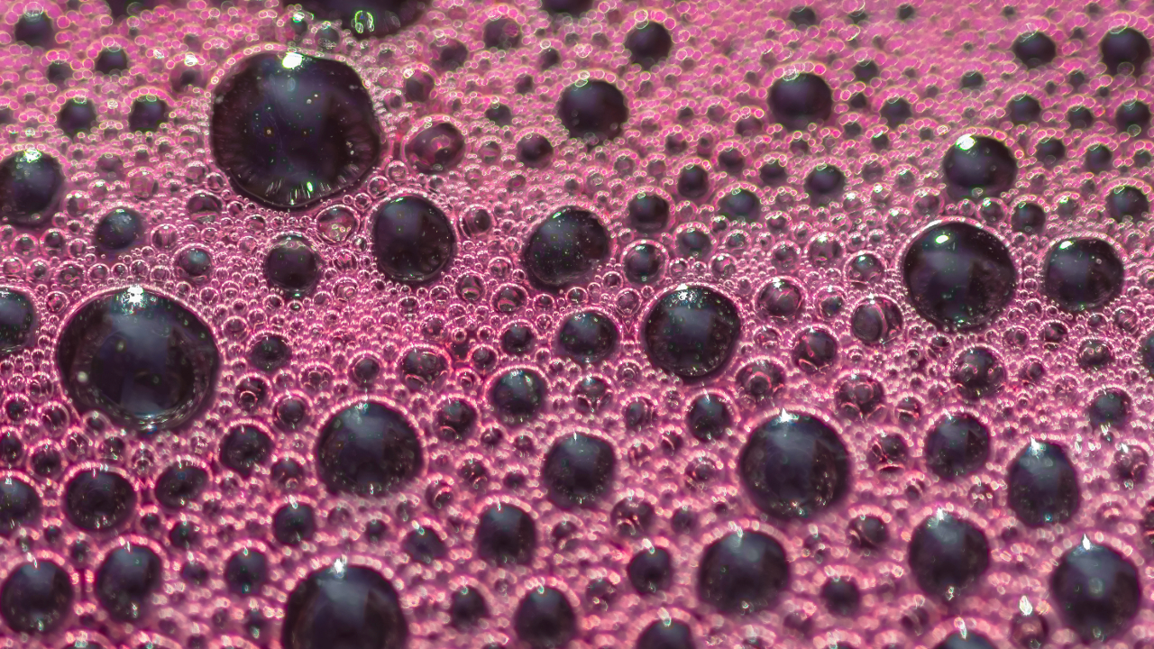 A closeup shot of wine bubbles